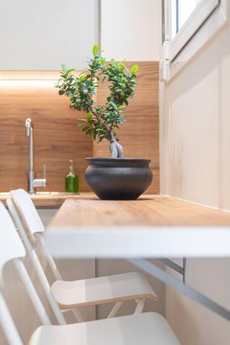 Peaceful Shelter In Athens Apartamento Exterior foto